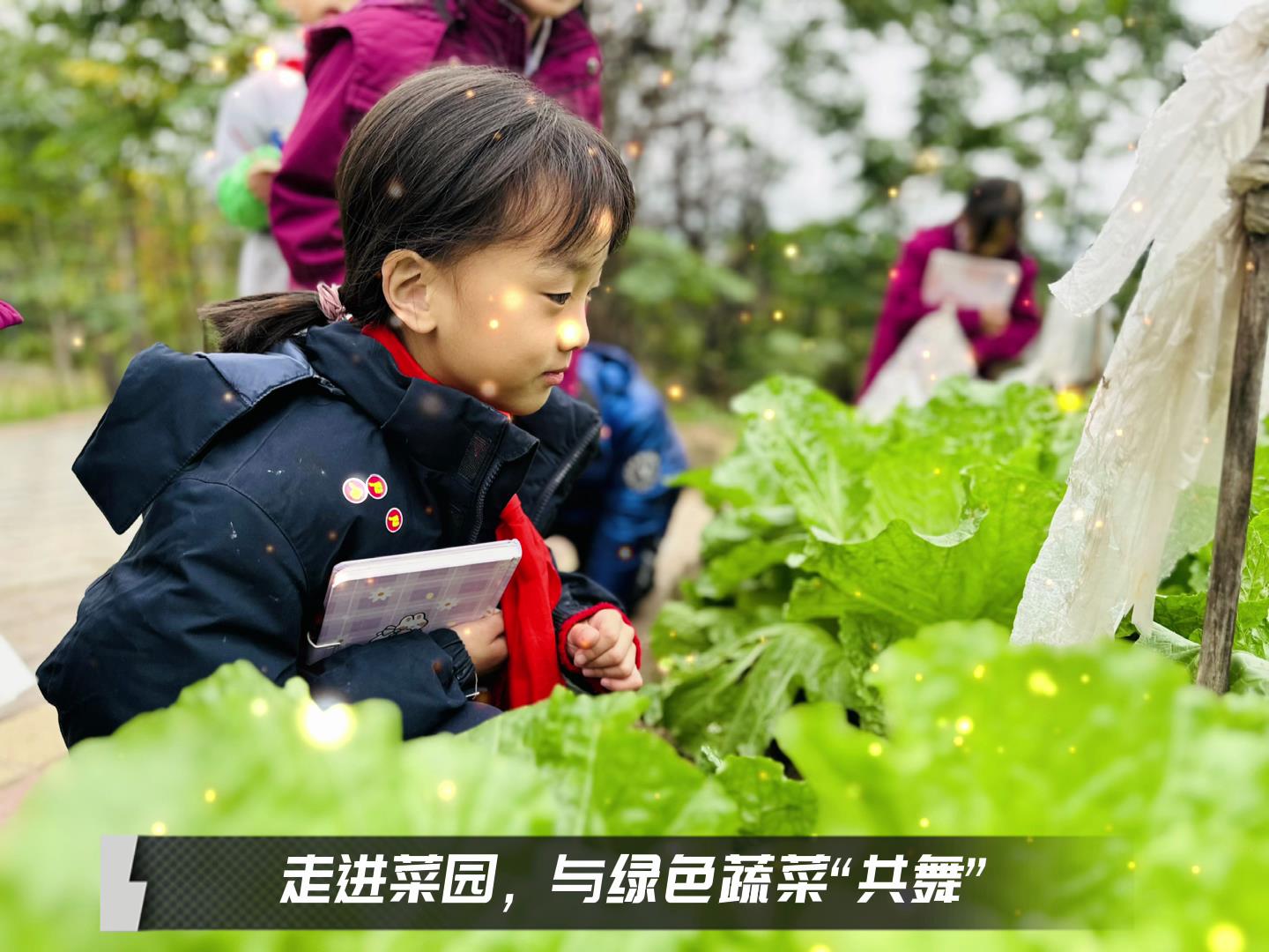 #美好學(xué)校|留校時(shí)光，走出教室，與綠色蔬菜共舞