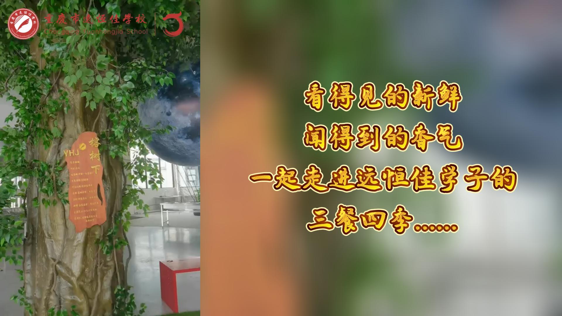 #美好學(xué)校|看得見的新鮮，聞得到的香味，一起走進(jìn)遠(yuǎn)恒佳學(xué)子的三餐四季!